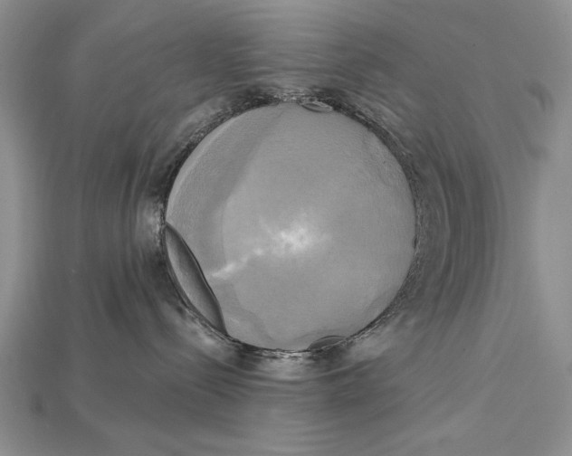 X0000114670288200911121339