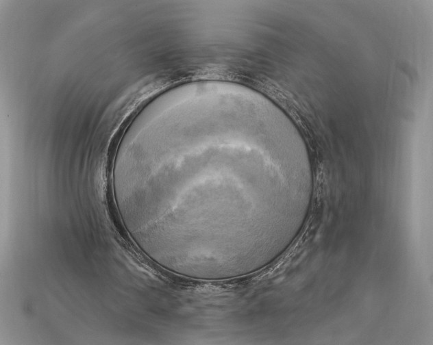 X0000114670290200911121338