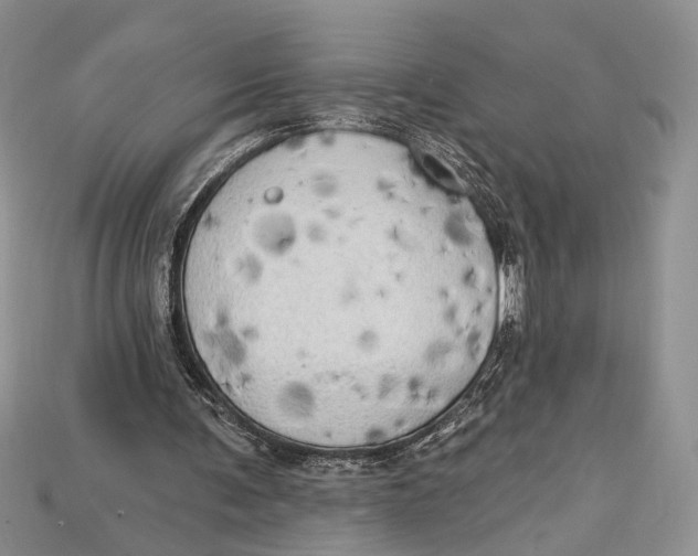 X0000114670291200911121338