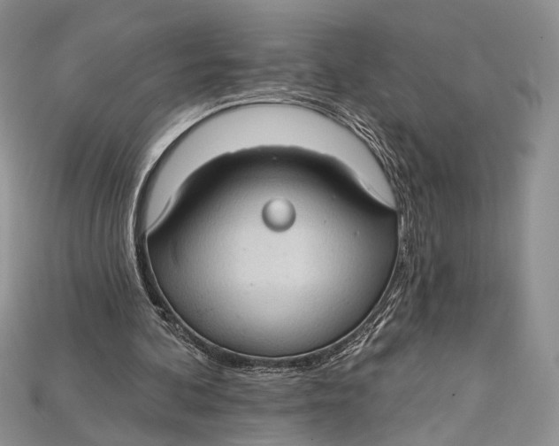 X0000114670292200911121338