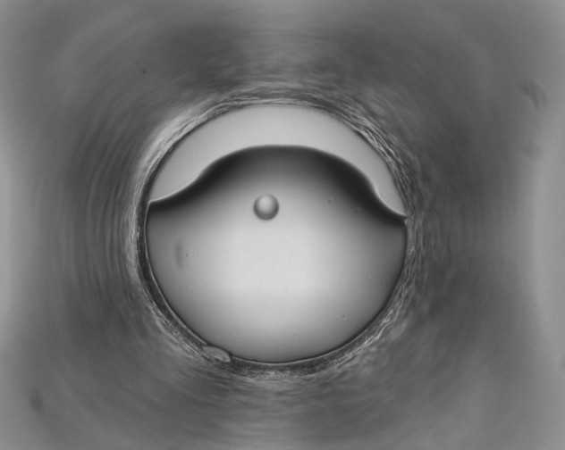 X0000114670293200911121338