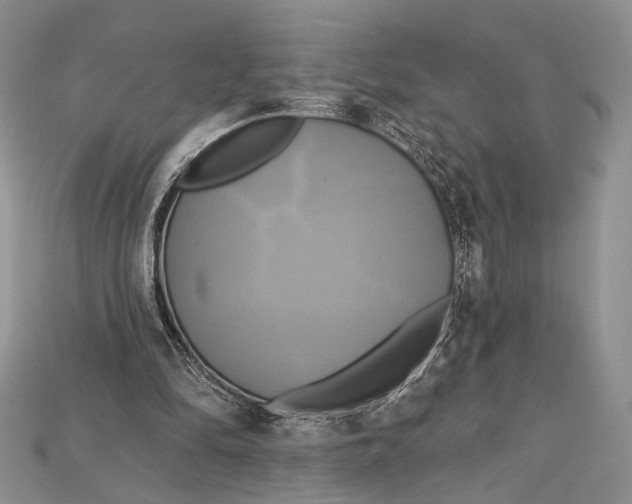 X0000114670294200911121338