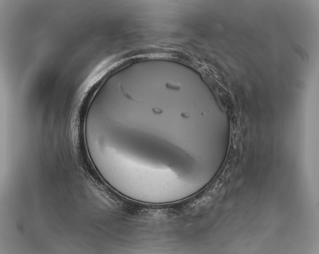 X0000114670295200911121338