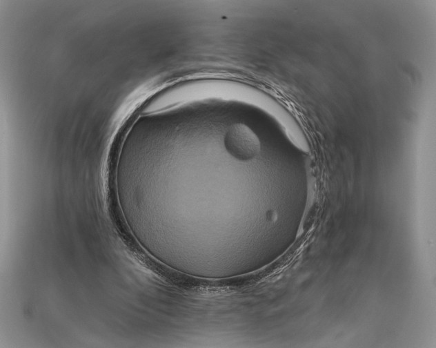 X0000114670296200911121338