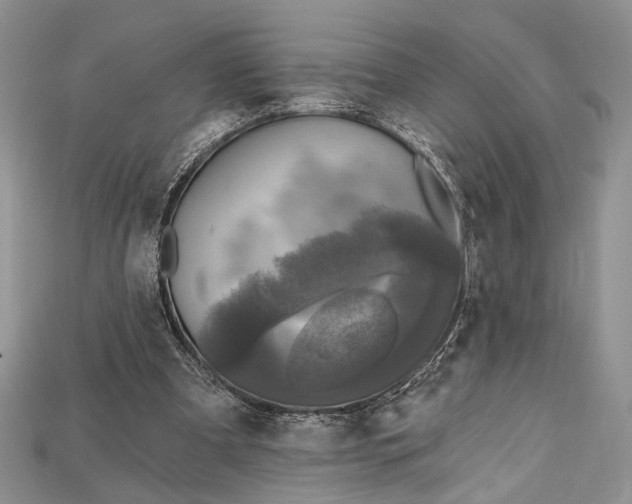 X0000114670297200911121338