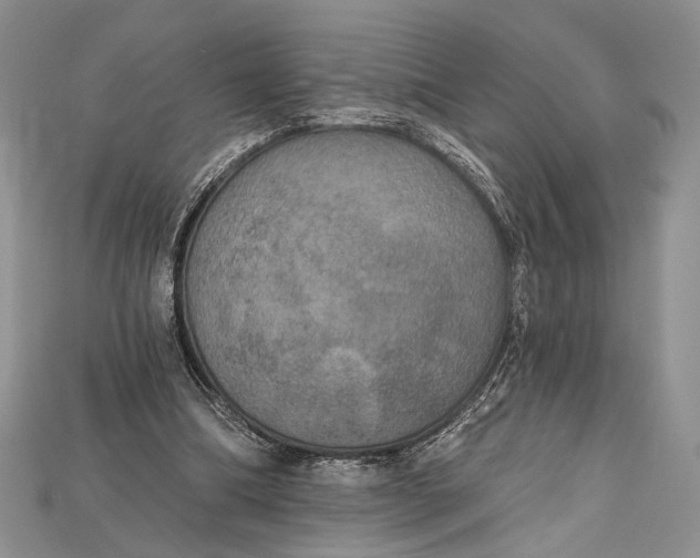 X0000114670298200911121338