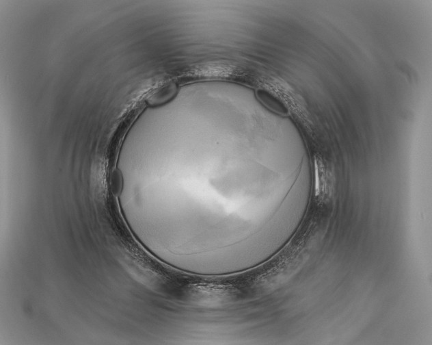 X0000114670300200911121338