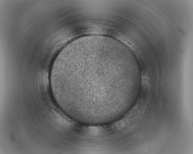 X0000114670302200911121338