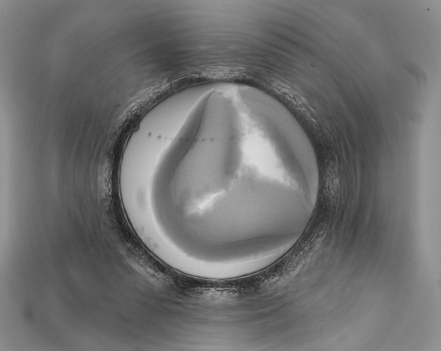 X0000114670303200911121338