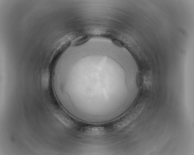 X0000114670304200911121338