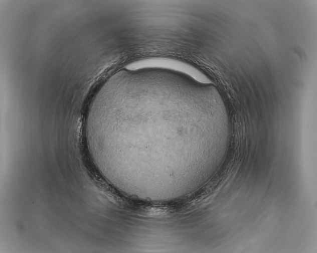 X0000114670308200911121338