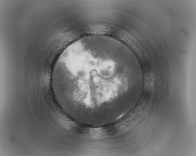 X0000114670309200911121338