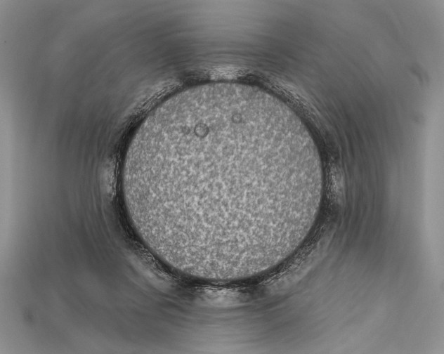 X0000114670311200911121338