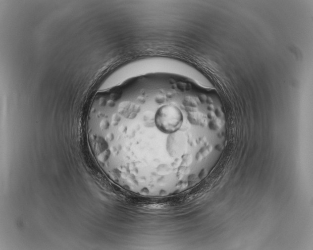 X0000114670312200911121338