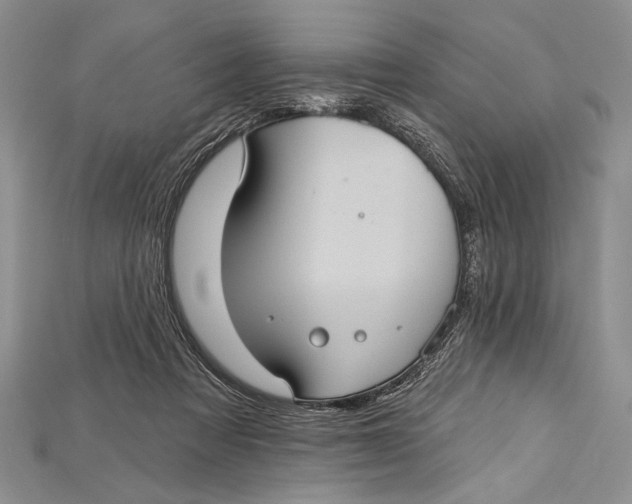 X0000114670313200911121338