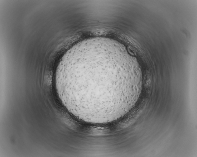 X0000114670315200911121338