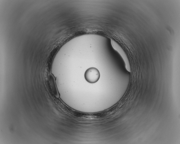 X0000114670316200911121338