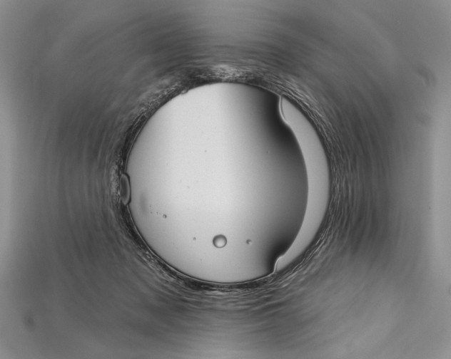 X0000114670317200911121338