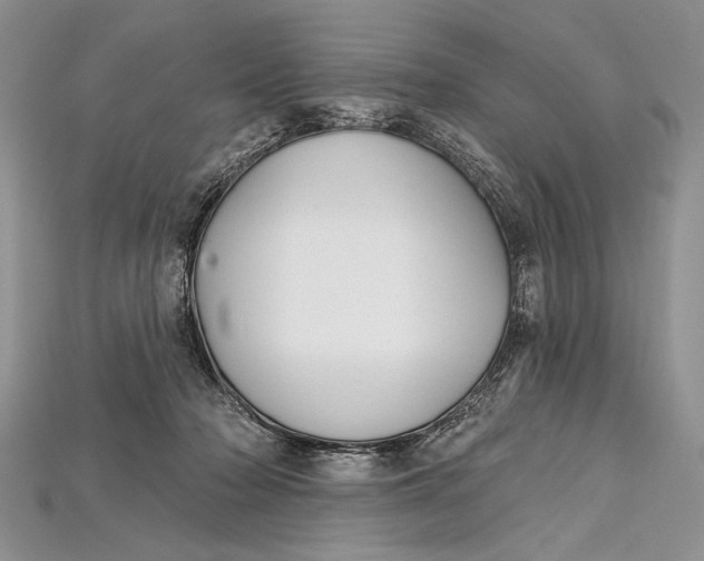 X0000114670318200911121338