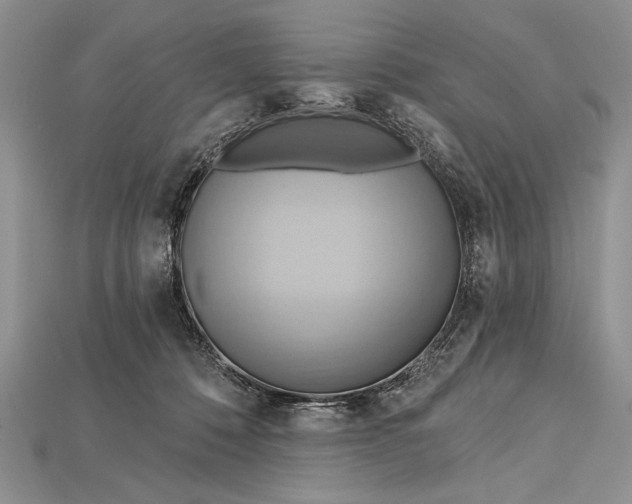 X0000114670320200911121338