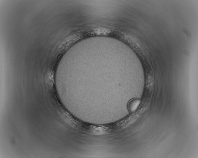 X0000114670321200911121338