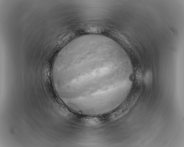 X0000114670322200911121338