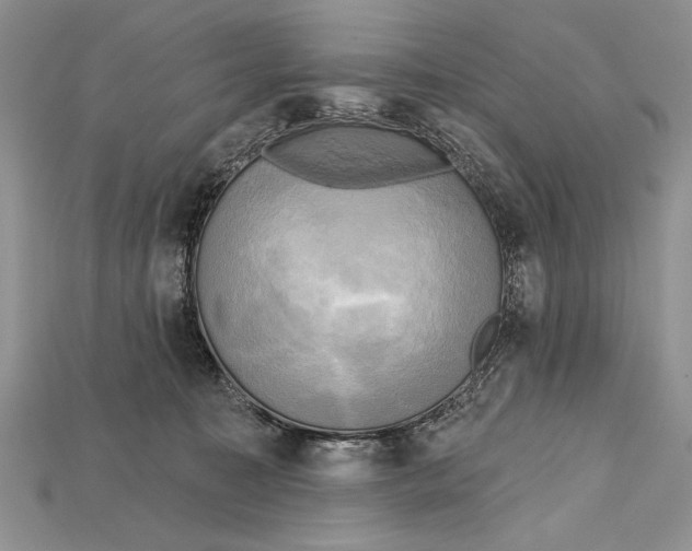 X0000114670323200911121338