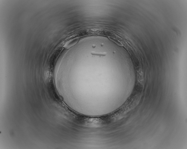 X0000114670324200911121338