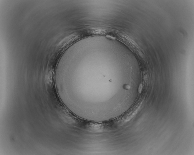 X0000114670325200911121338