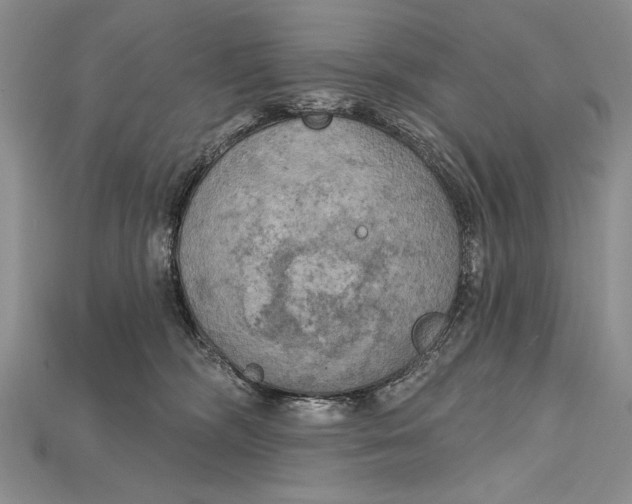 X0000114670326200911121338