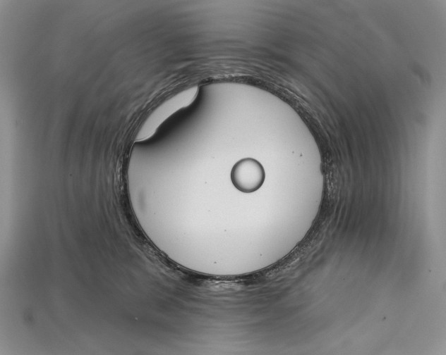 X0000114670327200911121338