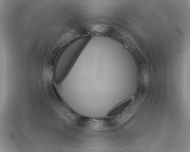 X0000114670328200911121338