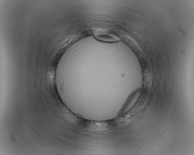 X0000114670329200911121338