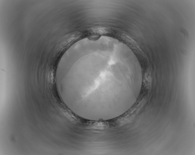 X0000114670330200911121338