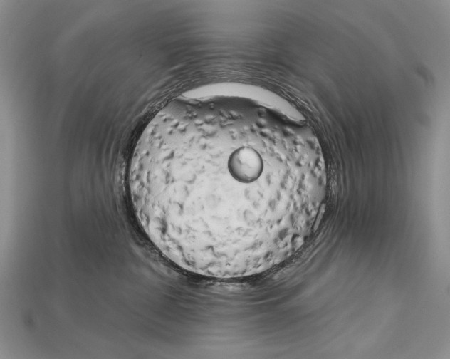 X0000114670332200911121338