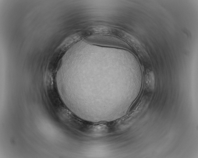 X0000114670333200911121338