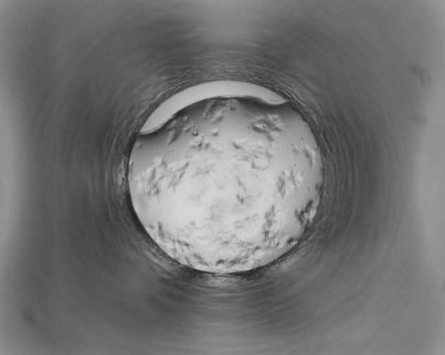 X0000114670336200911121338