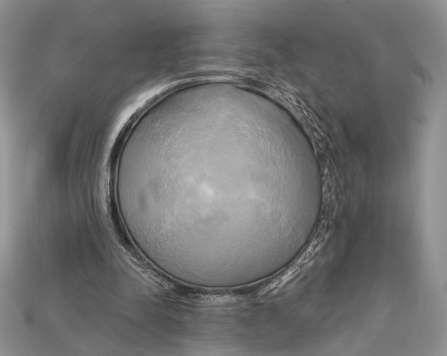 X0000114670342200911121337