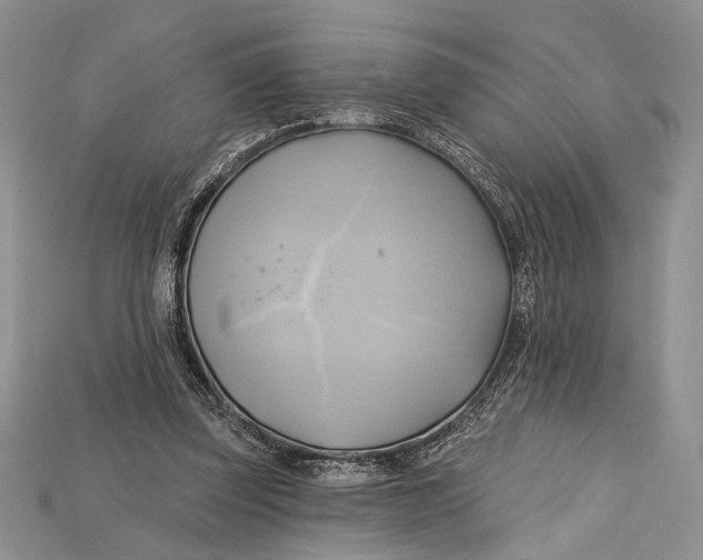 X0000114670347200911121337