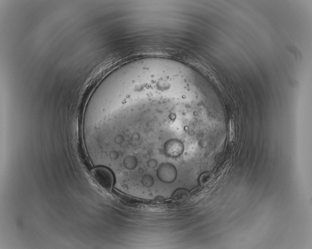 X0000114670349200911121337