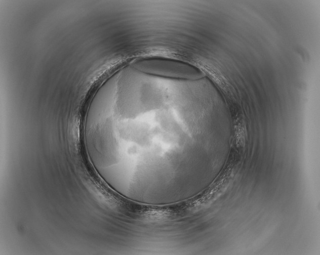 X0000114670350200911121337