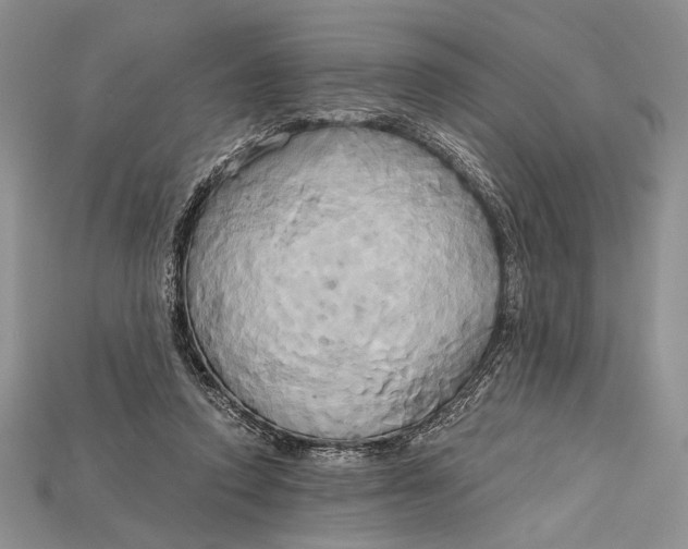 X0000114670354200911121337