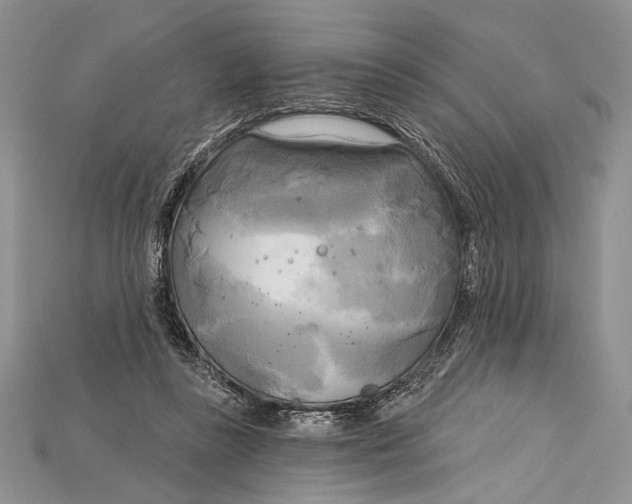 X0000114670355200911121337