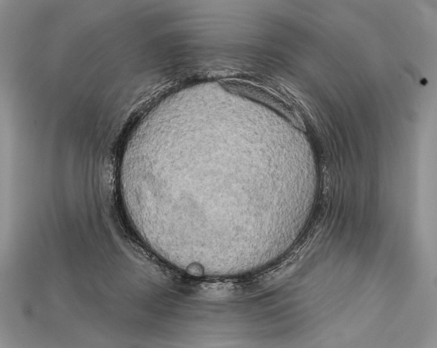 X0000114670362200911121337