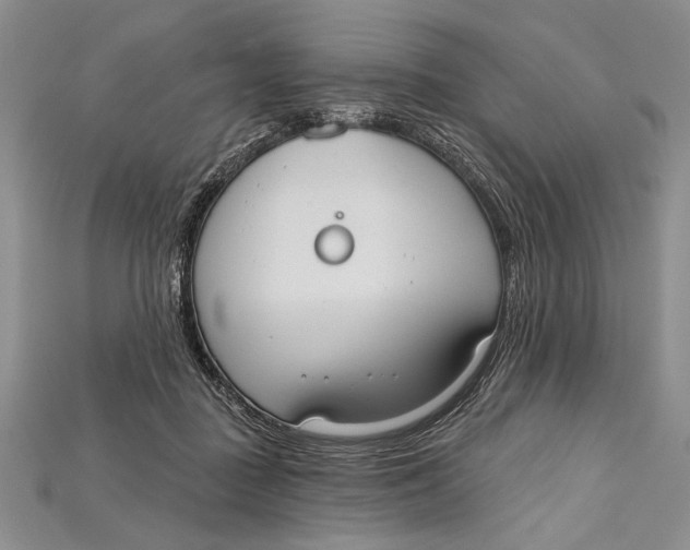 X0000114670363200911121337