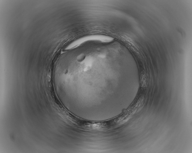 X0000114670365200911121337