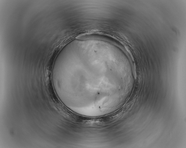 X0000114670366200911121337