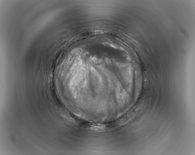 X0000114670369200911121337