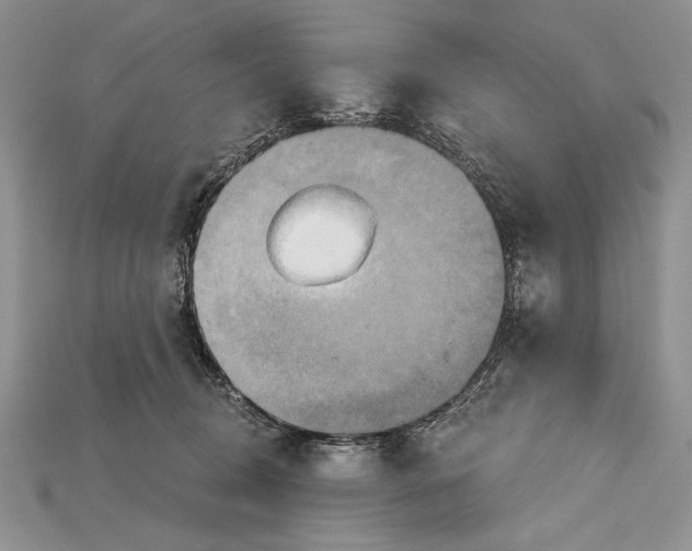 X0000114670370200911121337