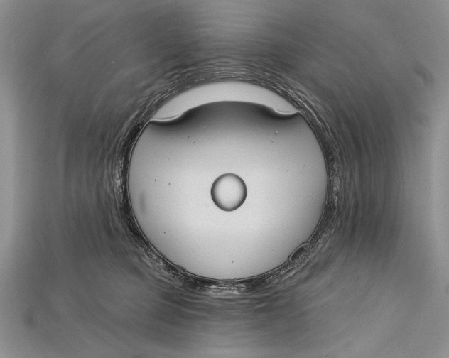 X0000114670373200911121338